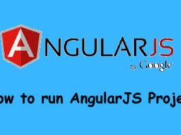 run angularJS project