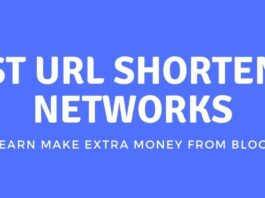Best URL Shortener Networks