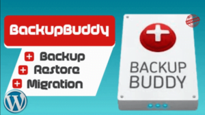 How to Safely Backup your WordPress Website 1