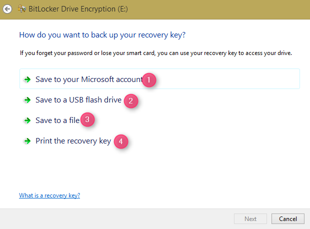 How to set drivers password on Windows