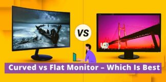 Curved vs Flat Monitor